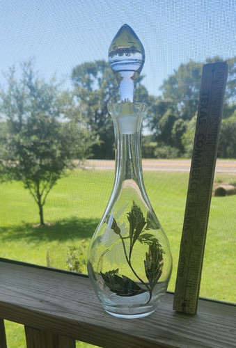 Decanter vintage vetro con - vetro,