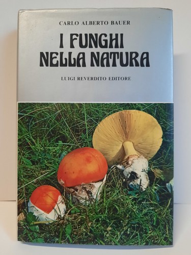 Funghi nella natura carlo - funghi,