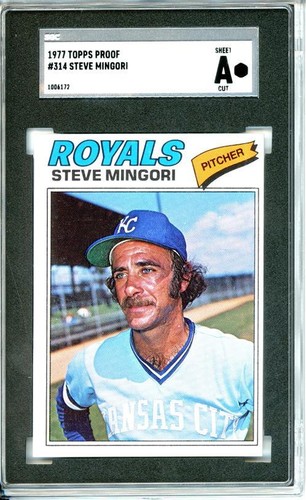 1977 topps 313 steve - #313,