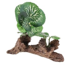 Piante artificiali, piante