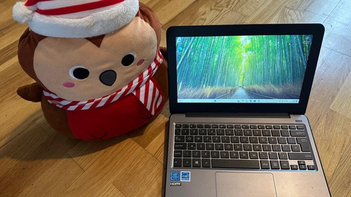 Asus vivobook w202na - asus,