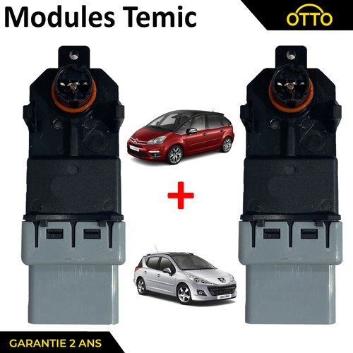 Modulo temic motore - 2x,