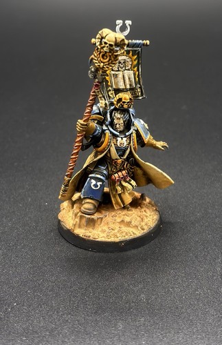Pro painted warhammer 40k - gw,
