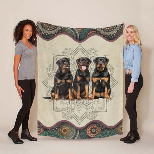 Divertente coperta arte