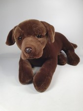 Cioccolato Labrador Cane