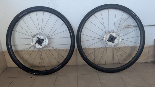 Bontrager paradigm tlr disc - tlr,