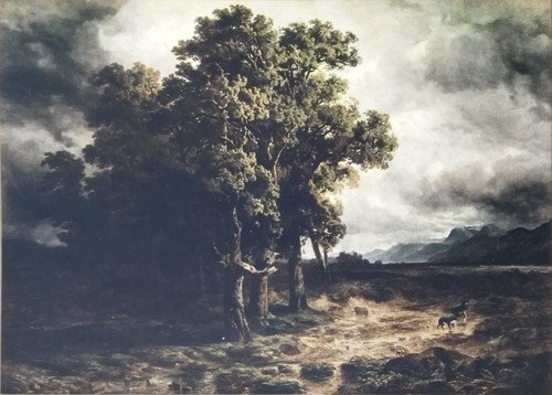 Antica stampa colori - , del