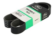 Cintura GAT a più coste per