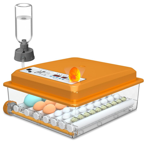 Incubatrice per uova - per,