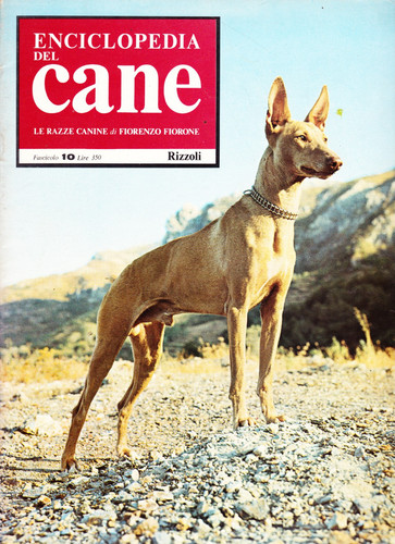Enciclopedia del cane - del,