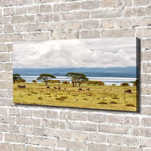 Quadro tela stampa - quadro,