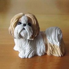 JJM Shih Tzu cane animale