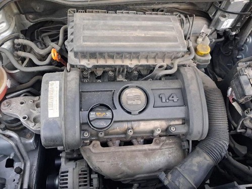Bxw motore seat ibiza - ibiza, sc