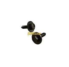 Pair carter screws muffler - carter,