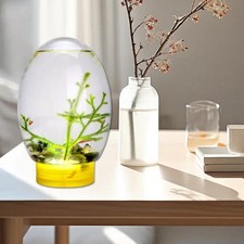 Mini Serbatoio per Pesci