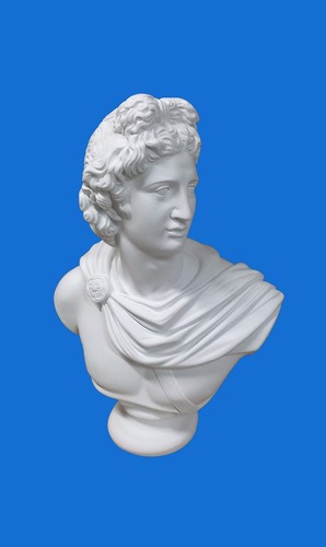 Busto gesso apollo - busto, in