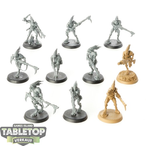 Tau empire 10 carnivori - -,