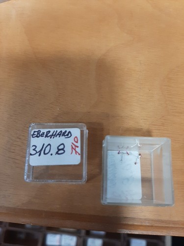 Eberhard ancora pallet fork - -,