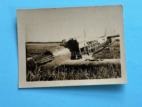 Foto rapporto fotografico - foto,,