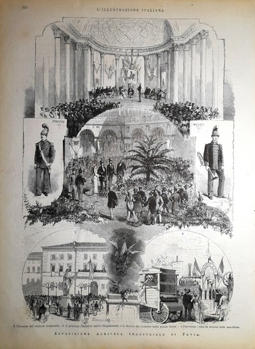 Stampa antica pavia - stampa,