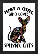 Gatto Lady Sphynx gatto regalo