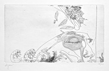 Giuseppe ZIGAINA "Anatomia e