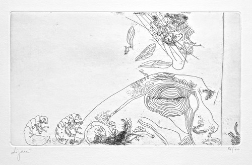 Giuseppe zigaina anatomia - giuseppe,