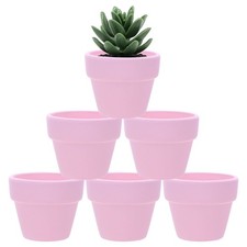 Confezione mini vasi in - confezione,