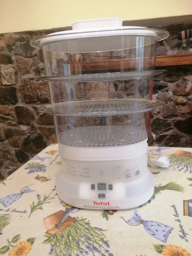Vaporiera elettrica - elettrica,
