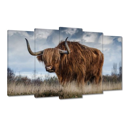 Quadro tela da - quadro,