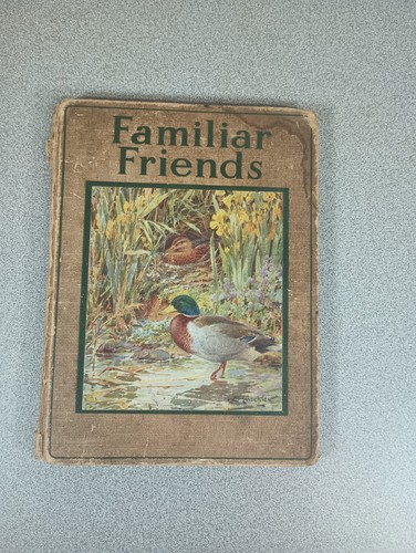 Familiar friends home - familiar, at