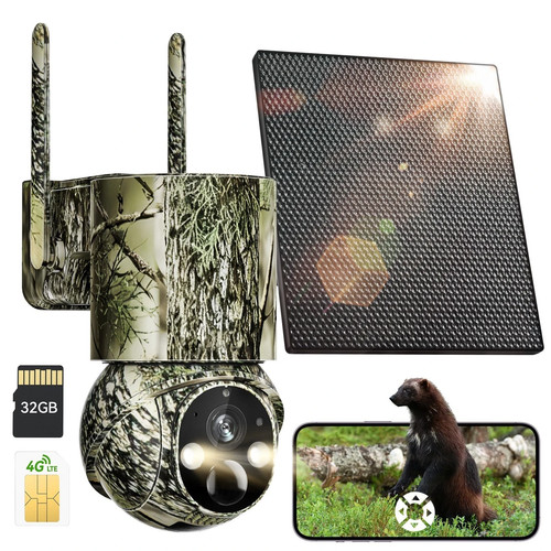 Wildlife cam hunting trail - wildlife,