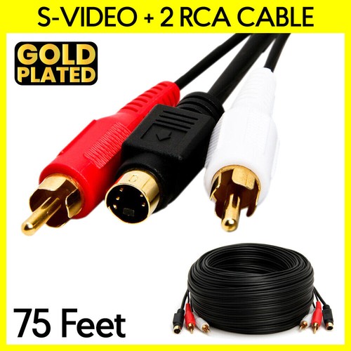 Cavo video piedi con 2 - con,