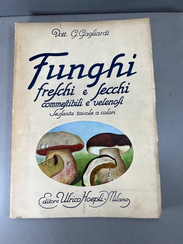 Funghi freschi secchi - freschi, 60