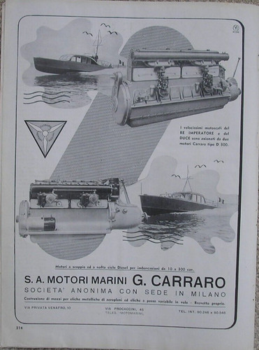 Motori marini carraro - marini,