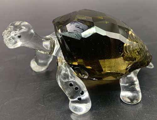 Swarovski 2010 scs galapagos - scs,
