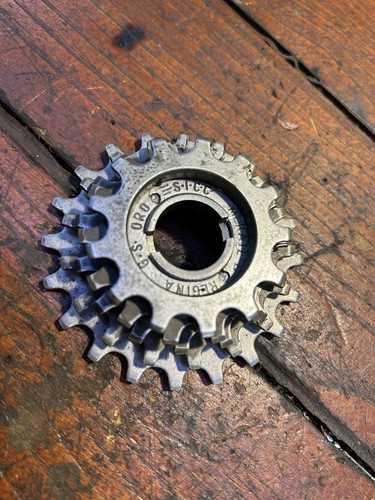 Ruota libera regina campagnolo - libera,