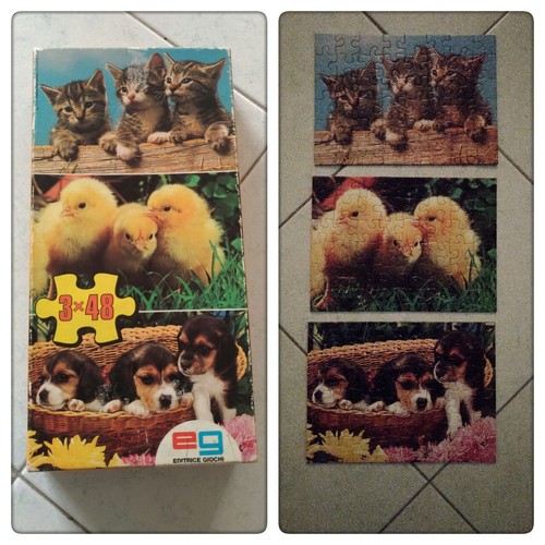 Puzzle gattini 3x48 - , pezzi