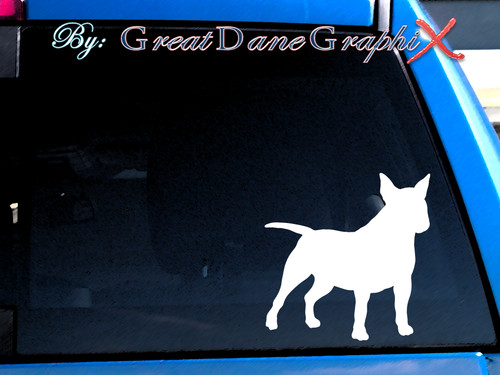 Miniatura bull terrier - miniatura,
