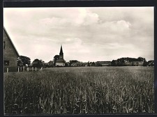 Nero, veduta sui campi alla