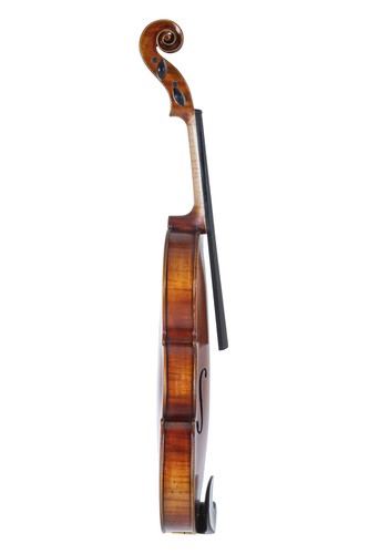 Violino maestro - maestro,