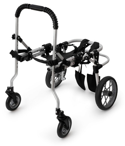 Sedia rotelle per cani - sedia,