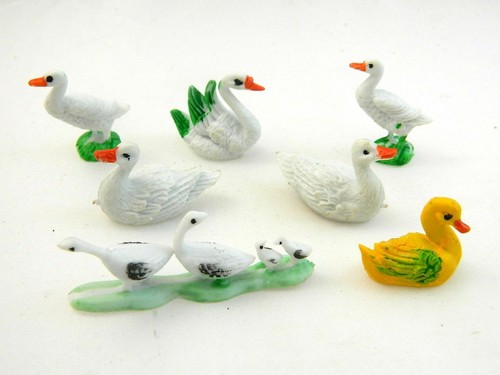Set gallinacei animali - set,