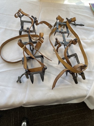 Camp arrampicata su - arrampicata,