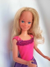  Barbie Skipper TNT Con Outfit