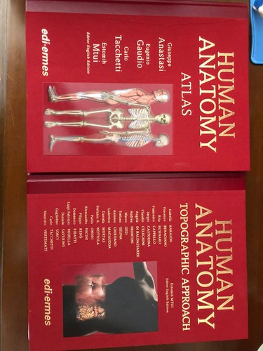 Human anatomy - human, (anatomia