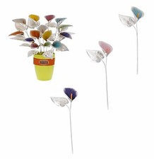 FIORE 3 COLORI CALLA ARGENTO 26CM FIRMATA BAGUTTA BOMBONIERA + CONFEZIONE REGALO