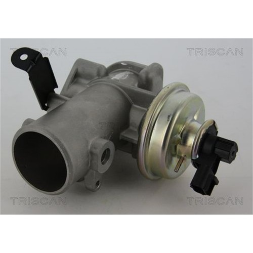 Triscan valvola egr - valvola,