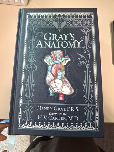 Gray anatomy henry - gray's, by