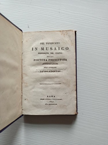 Cecconi - (palestrina),